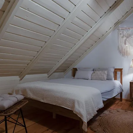 Lesny Dom W Okolicy Zegrza Casa vacanze